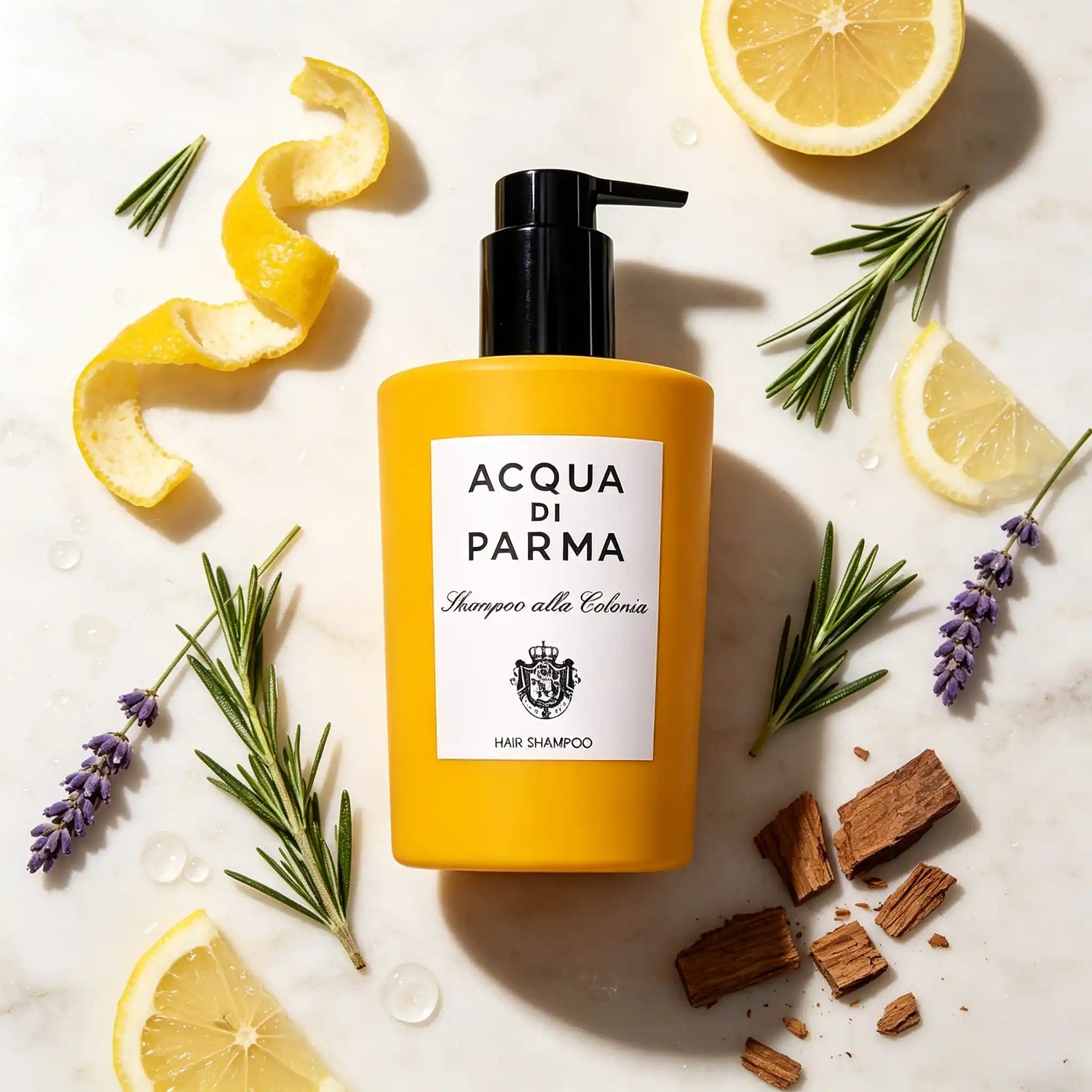 InterContinental Shampoo 300ML | ACQUA DI PARMA COLONIA