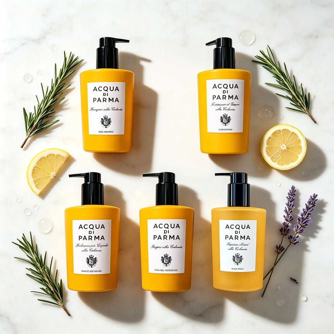 InterContinental Shampoo or Conditioner or Body Lotion or Shower Gel or Hand Wash 300ML | ACQUA DI PARMA COLONIA