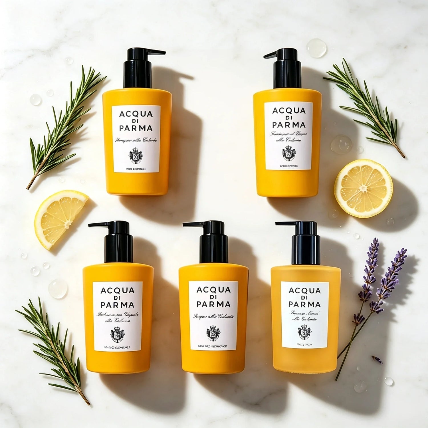 InterContinental Shampoo or Conditioner or Body Lotion or Shower Gel or Hand Wash 300ML | ACQUA DI PARMA COLONIA